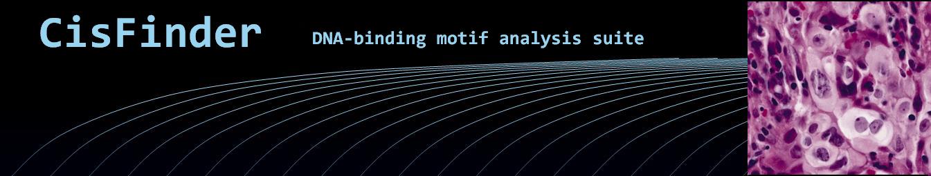CisFinder: DNA-binding motif analysis suite